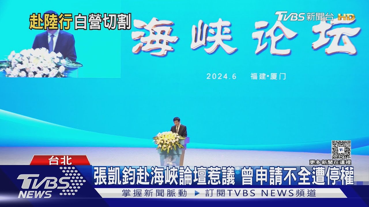 白中央委員再赴海峽論壇　黨內爆不滿潮