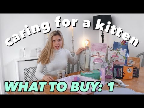 caring for a kitten | WHAT TO BUY & WHY | kitten haul 2020 Part 1