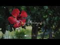 Pon Thaarame Whatsapp Status Helen Malayalam Movie