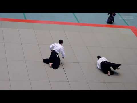 [AIKIDO DEMO] Sasaki Teryu Shihan - 52nd All Japan Aikido Demonstration