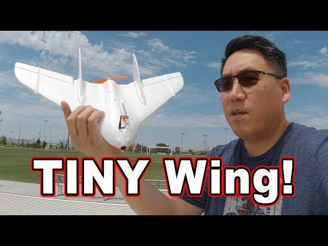 World's Smallest FPV Wing // LDARC Tiny Wing ✈️