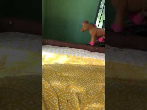 Pinky Mon 🐱 fighting with a 🦄