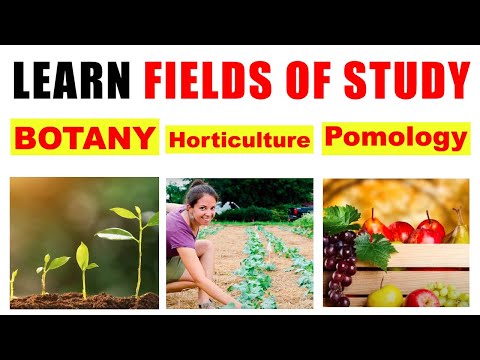 Learn Fields of Study - General Knowledge Video - Basic Educational video