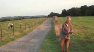 "Le Vin" de Georges Brassens. Ballade filartone.