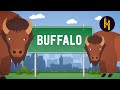 Buffalo Buffalo Buffalo Buffalo Buffalo Buffalo Buffalo Buffalo
