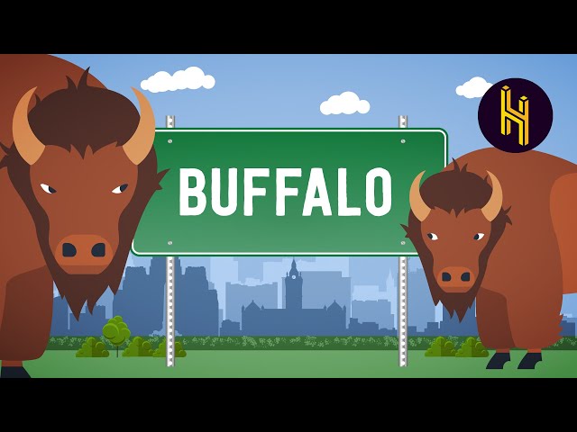 İngilizce'de buffalo Video Telaffuz