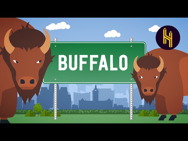 Pronúncia de vídeo de buffalo em Inglês