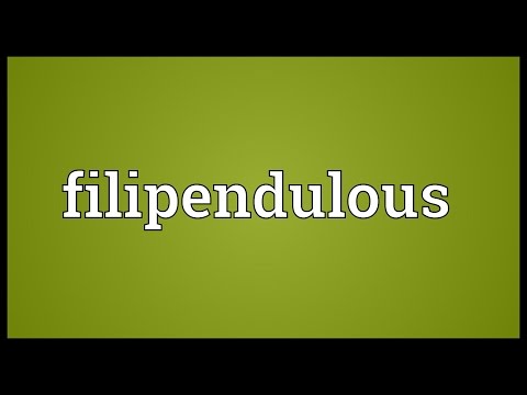 Filipendulous Meaning