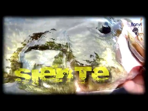 CAZA y PESCA, nuestra VIDA | LOS MEJORES VIDEOS DE CAZA Y PESCA | Trailer BO Caza y Pesca