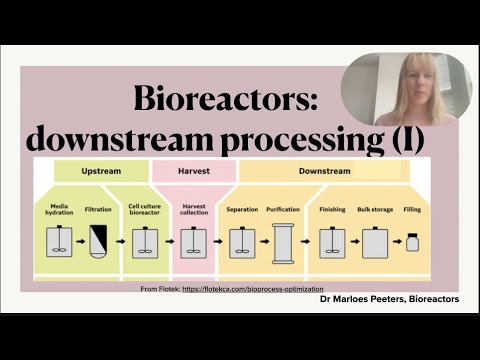 Downstream processing in the pharmaceutical industry (Part I): recovery and purification