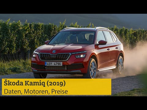 Škoda Kamiq (2019) – Daten, Motoren, Preise | ADAC