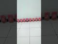 Makaroni King PAPAGO Lagi Baris