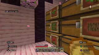【緑のマイクラ生放送】回線不安定。がんばれポケットWi-Fi