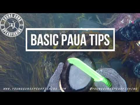 YG Spearfishing | Tips for collecting Paua