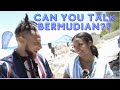 Can YOU talk BERMUDIAN???