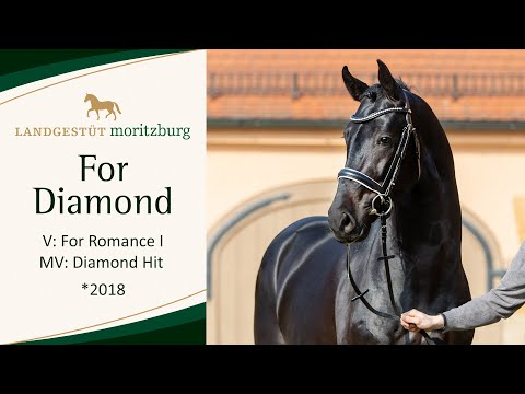 FOR DIAMOND v. For Romance I - Diamond Hit