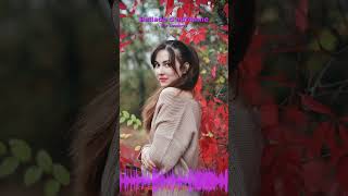 Miniature YouTube : Ballade D'Automne | Musique Ambiante & Relaxation par Soochrys