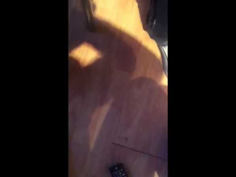 Me ( B double E ) and marky Fuck about :)