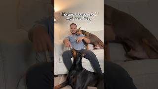 Three peas in a pod 🤣 #reels #shorts #pets #funny