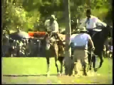 As Melhores Gineteadas