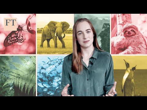 How to put a price on nature | FT