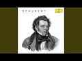 Schubert: Piano Sonata No. 16 in A Minor, D. 845: II. Andante, poco mosso
