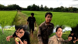 21 กันยายน ค.ศ. 2025.ໃສ່ກັບຫນູກັບພານ0.//ใส่กับหนูกับพราน0.