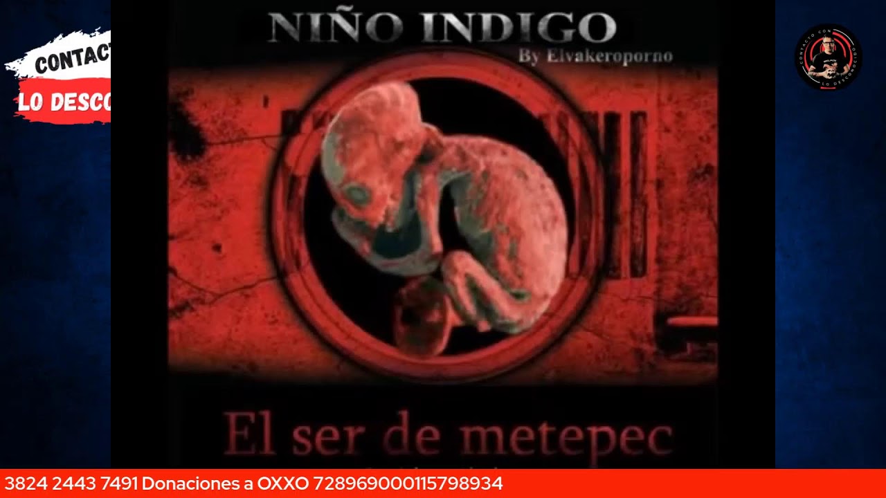 ¿QUÍEN GANÓ EL DEBATE?  / REACCIÓN