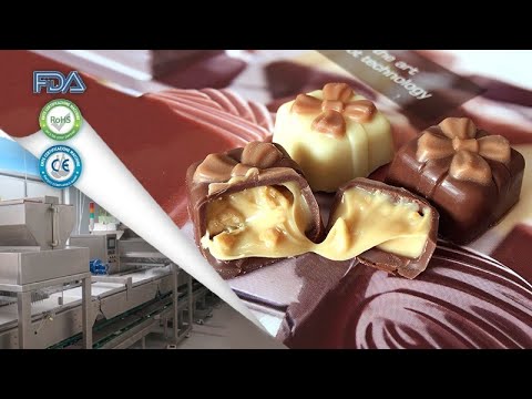 One Shot & Decoration