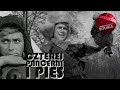 CZTEREJ PANCERNI I PIES Odcinek 1 Najlepsze Polskie Seriale Angielskie Napisy