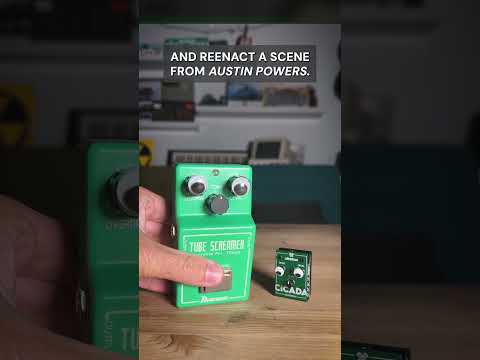 🪲 Olinthus Cicada Overdrive 2024 - Present - Green image 18