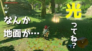 【ゲーム実況】ゼルダの伝説 BotW #10