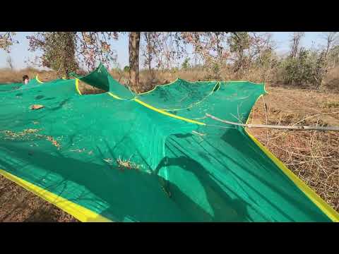 Green Net Distribution for Mahua Collection SGP-GEF-UNDP-MoEF&CC Project