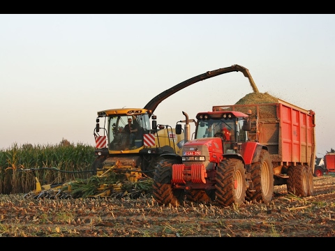Loonw. Demarez-Marreel - Egem-Pittem - New Holland FR 700