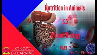 ST KIZITO SS BUGOLOBI 6 Nutrition in Animals PART 2