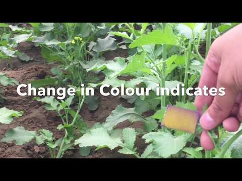 eSPRAY (Electrostatic Sprayer): STG 01 for CROPS & ORCHARDS