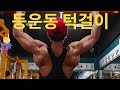 30대 일반인 몸만들기 바디프로필 D-57 등운동 턱걸이(네시작은미약하였으나,그끝은창대하리라)