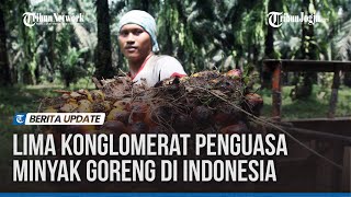 Download lagu Lima Konglomerat Penguasa Minyak Goreng di Indones... mp3