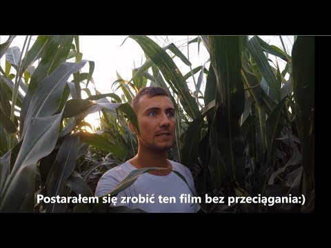 Wpadać na dole palucha Zwiększenie kości na wierzchu palucha