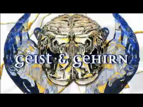 Manfred Spitzer - Geist & Gehirn - Wahrheit 9.04