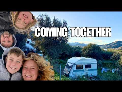 Electric Olive Harvester, a Guest Caravan & 23 Litres | Cortijo Renacer Update