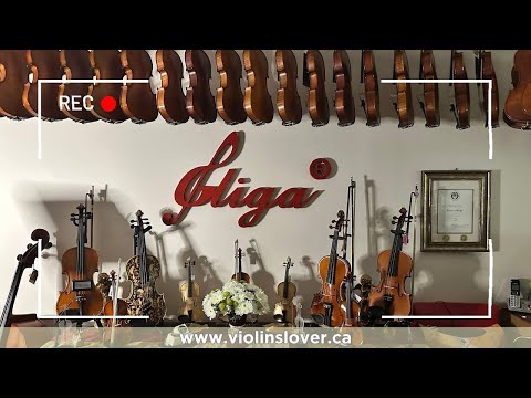 Gliga Violin Store in Vancouver YouTube Video Presentation - 🎶🎻 Fascinating Story!!! 🎻🎶