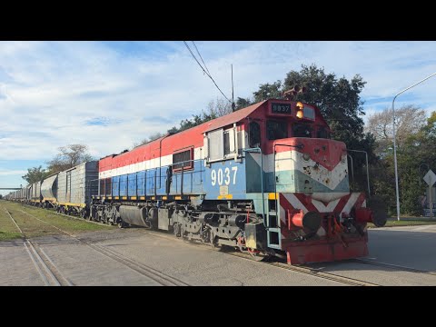 [8K] Tren de tolvas graneras de NCA con destino a Rio Primero pasando por Marcos Juárez!!!!!!