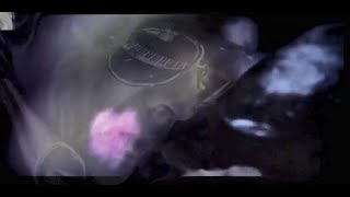 Van Morrison.  In the afternoon