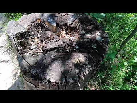 Beskid Śląski, Czarna Wisełka i schronisko