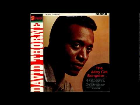 David Thorne - Tiny Little Ants