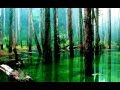 Amazon Forest