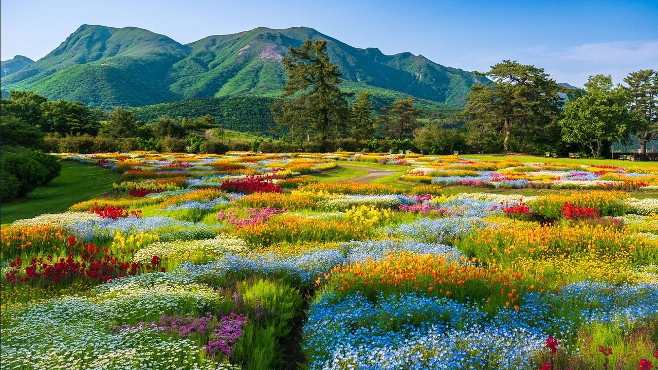 春の絶景（絶景九州 2026年4月放送）