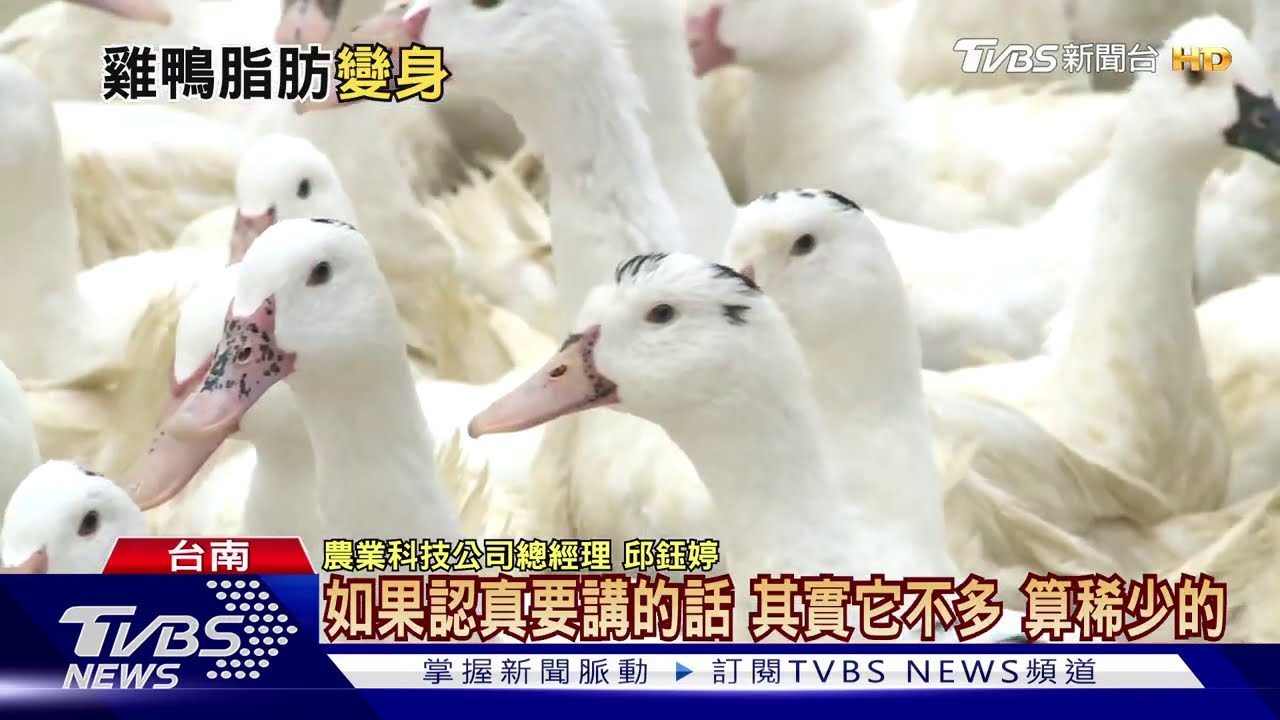 農畜循環新經濟！　雞鴨脂肪華麗變身