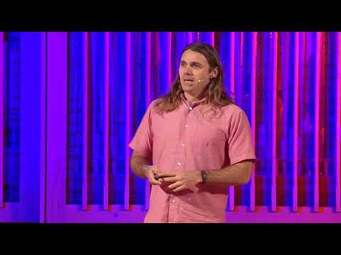 Want to help save the world? Eat more insects